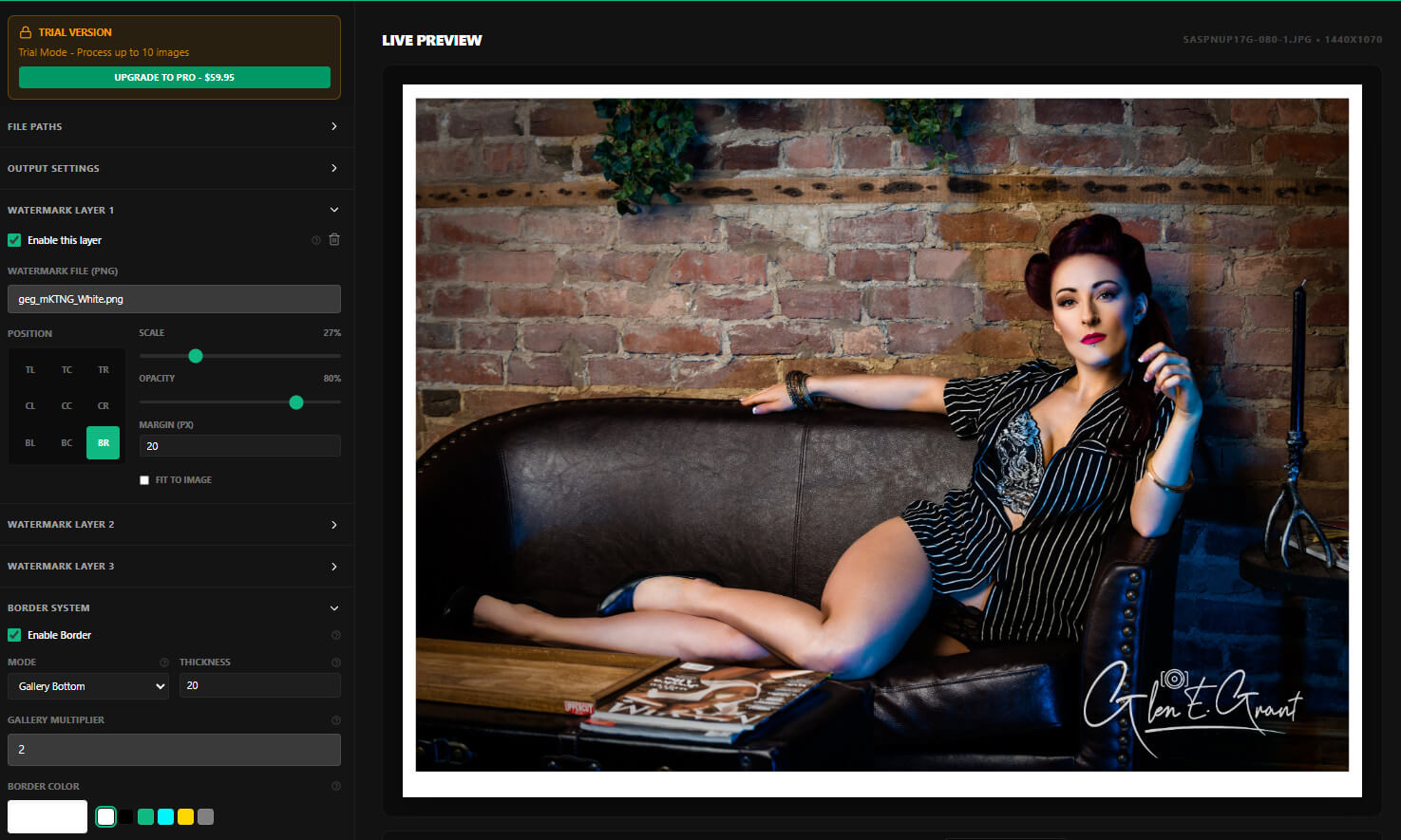 Watermark Gienie v3 professional interface showing live preview with editorial photograph and registered user status